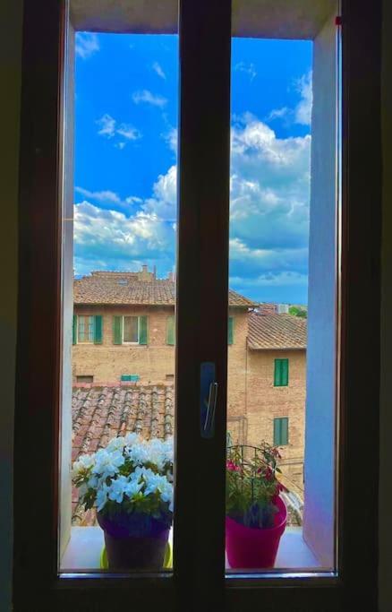 Suite19 Siena Centro Storico Eksteriør billede